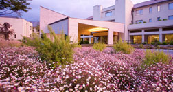 Cidade de Puerto Varas é perfeita para casais