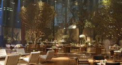 São Paulo e Rio em viagens de alto estilo