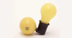 Joseph Beuys hoje: reflexões sobre arte, educação e ativismo