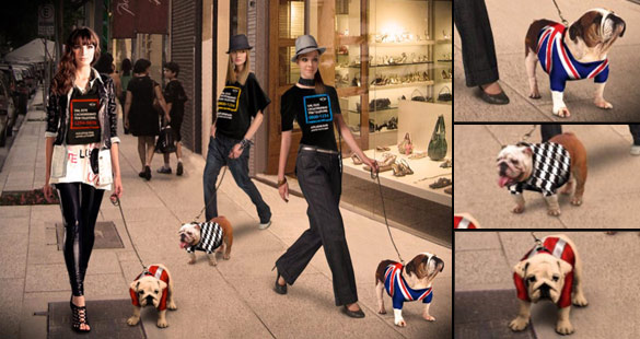 ‘Bulldog Fashion Walk’