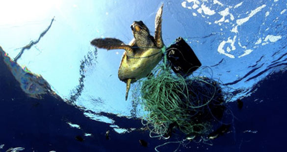 A problemática do lixo marinho