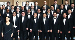 13, 15, 16, 17 Dez – SP