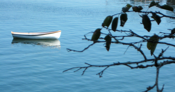 A natureza do ser simples