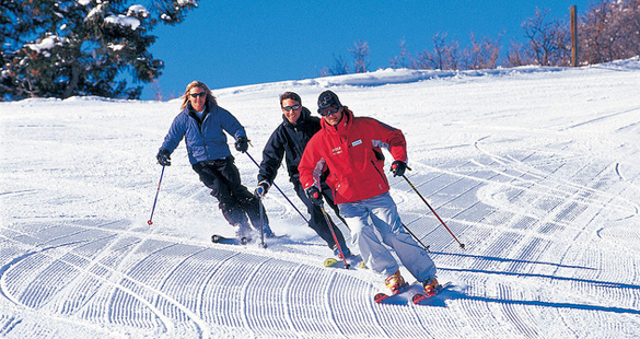 Câmeras ao vivo na neve