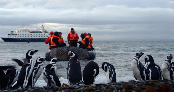Cruzeiro pelo “Fim do Mundo”