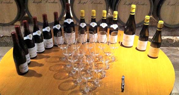 Maison Joseph Drouhin – Um verdadeiro negócio familiar