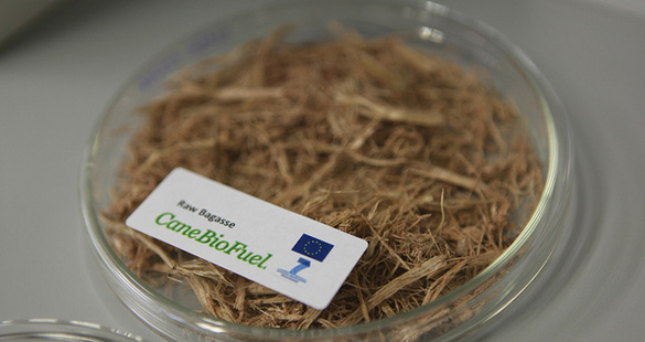 Palha ou Bagaço na produção de Etanol