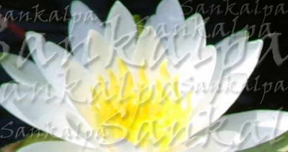 A prática do Sankalpa