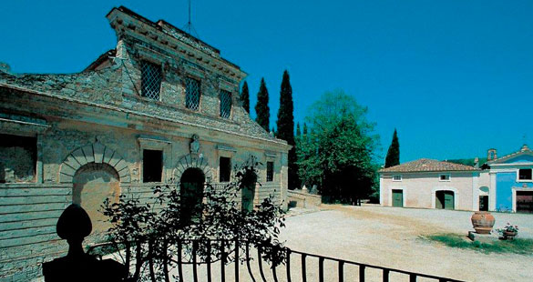 Giuseppe Mazzocolin – O professor que virou vinho