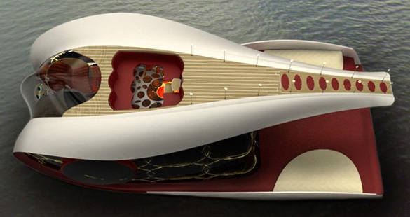 Tofi, “dreamboat” do ano