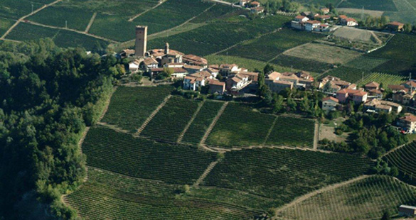 Angelo Gaja, o N° 1 do vinho na Itália