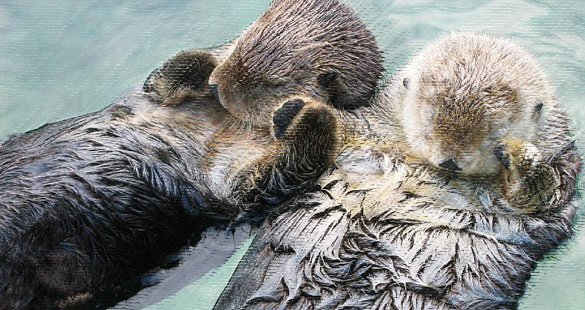 Elástico e barbante