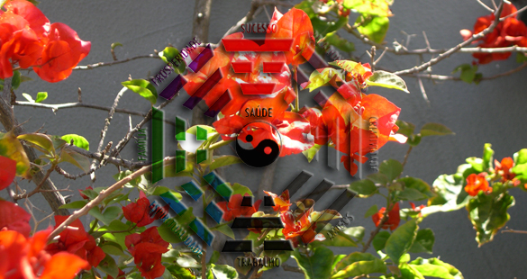 Feng Shui e paisagismo