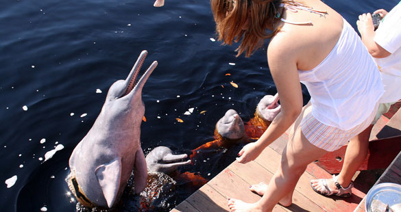 Cruzeiro pela Amazônia