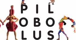 PILOBOLUS