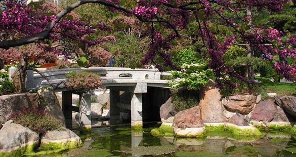 Estilos de jardim: desértico e japonês