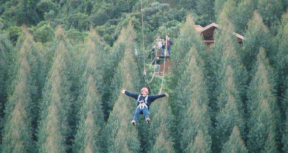 Inverno em Monte Verde