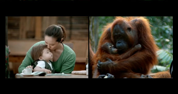 The World is Where We Live