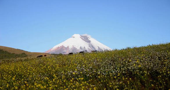 Parque Cotopaxi