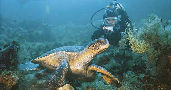 Cruzeiro em Galápagos