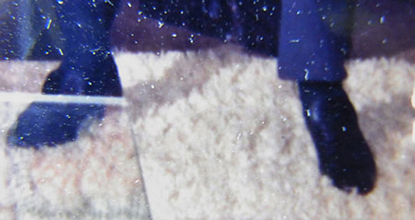 Figura, Paisagem e Natureza-morta