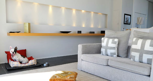 Sheraton Love the Dog!