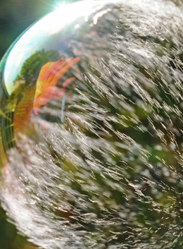 Artistic Photography