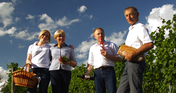 Austrian Wine Show Case