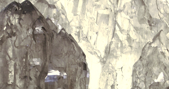 A lealdade é o brilho