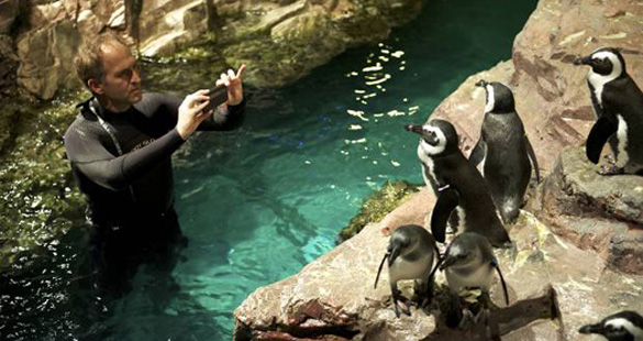 LG + National Geographic