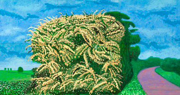 David Rockney e sua arte em iPads