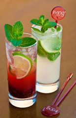 Cardápio de mojitos