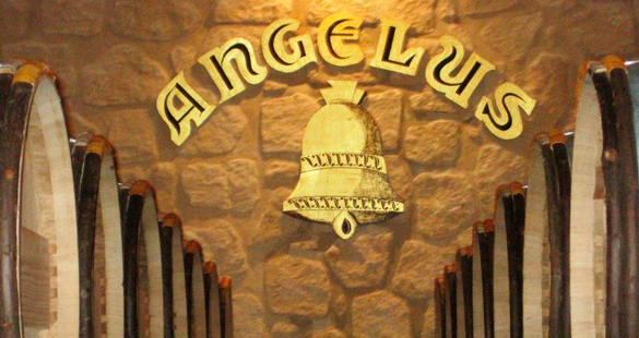 Uma Semana Inesquecível