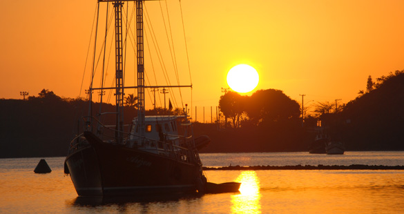 Atrações Volvo Ocean Race em Itajaí