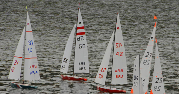 Campeonato de regatas