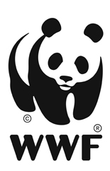 Pegada ecológica de SP