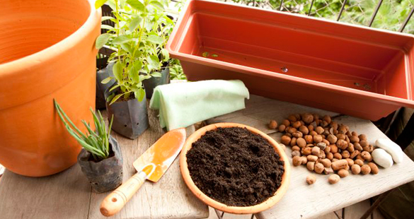 Dica Bihai: Aprenda a montar seu vaso