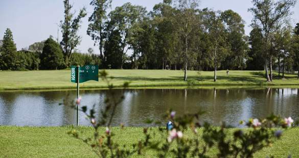 6º Festival de Golf no 500 Hotel