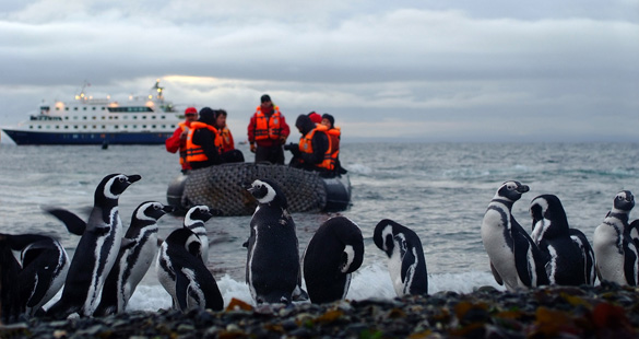 Temporada 2012/2013 do Cruceros Australis