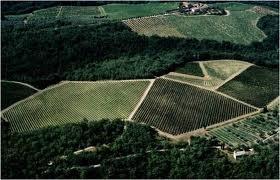 Vinhedo Siepi da Familia Mazzei no coração do Chianti Classico