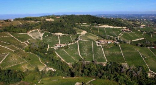 Visão aérea dos vinhedos de Nebbiolo de Domenico Clerico em Barolo