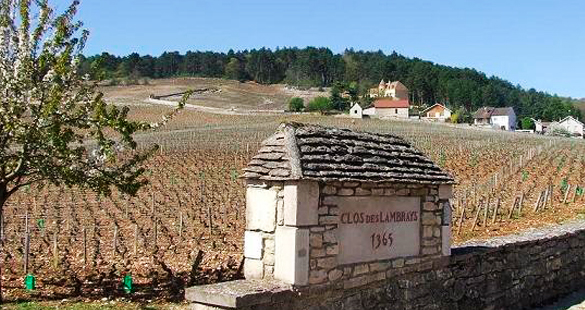 O desafio da Vila Madalena