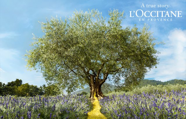 Biarritz Turismo e FVO Travel criam roteiro especial