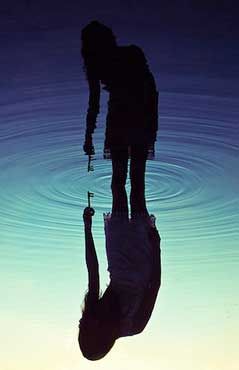 Peter Jamus em Cores da Natureza