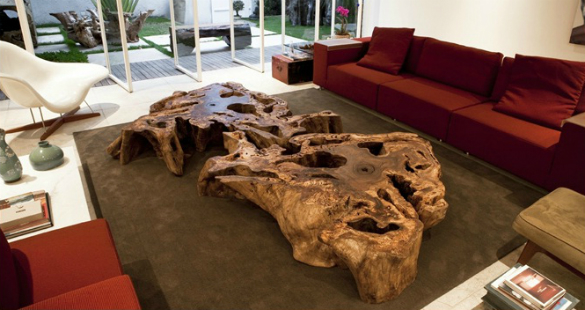 Monica Cintra – “Designer pela própria natureza”