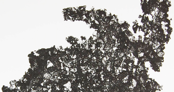 Exposição Luz — Decadência e Transformação