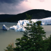 Lago & Glaciar Grey - Patagonia