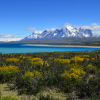 Lago Sarmiento - Torres Del Paine