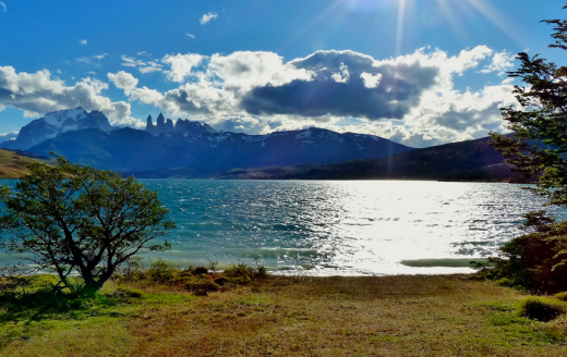 Laguna Azul - Torres Del Paine