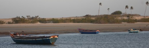Tatajuba-barcos